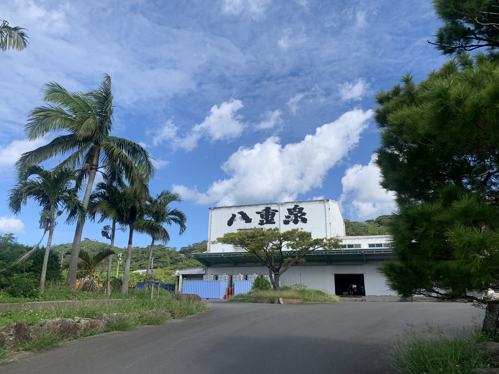 八重泉酒造工場見学【2023】