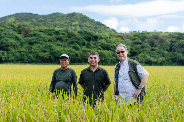 島の米と木で描く、未踏のテロワール