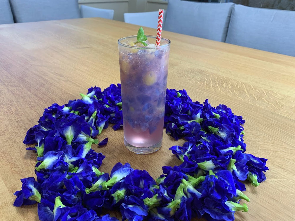 八重泉バタフライピー飲み方提案