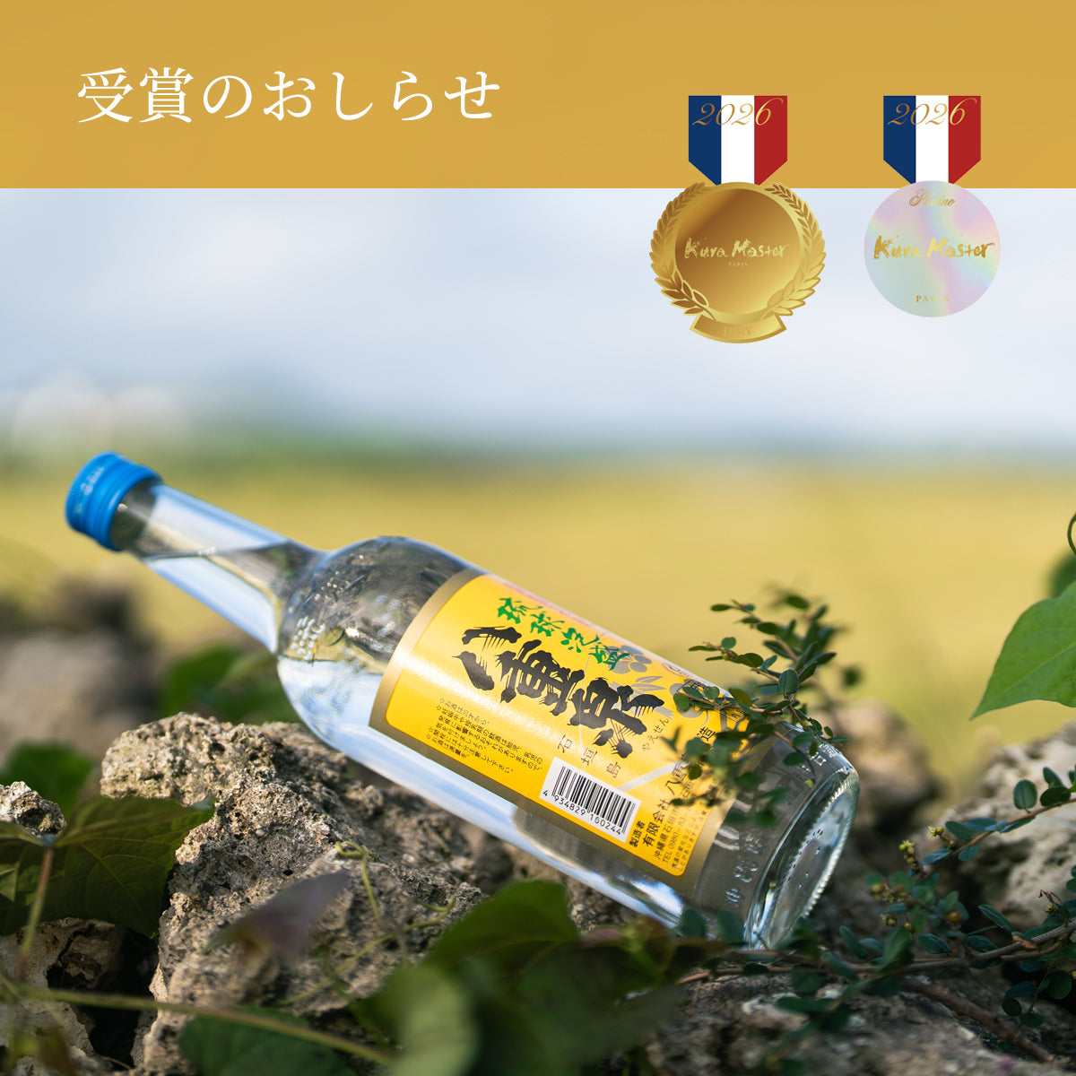 Kura Master2026』審査員賞・プラチナ賞受賞 ｜八重泉酒造公式サイト