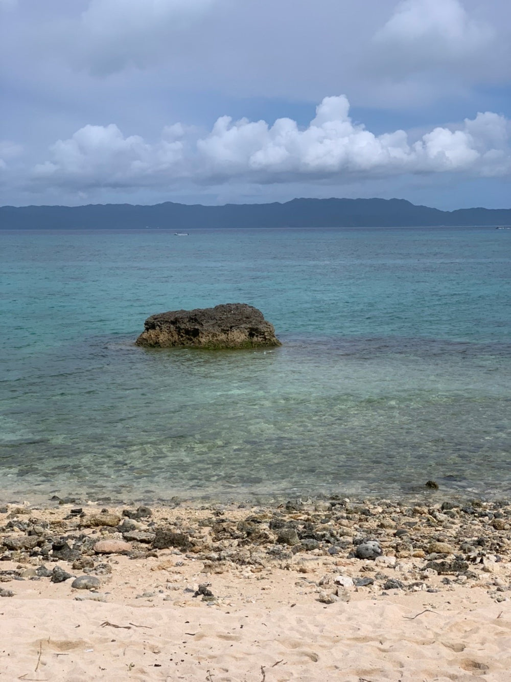 ウミガメ産卵の地　黒島でビーチクリーン大作戦の旅