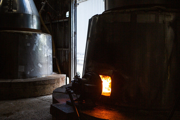 炎と木が記憶する──八重泉の原風景