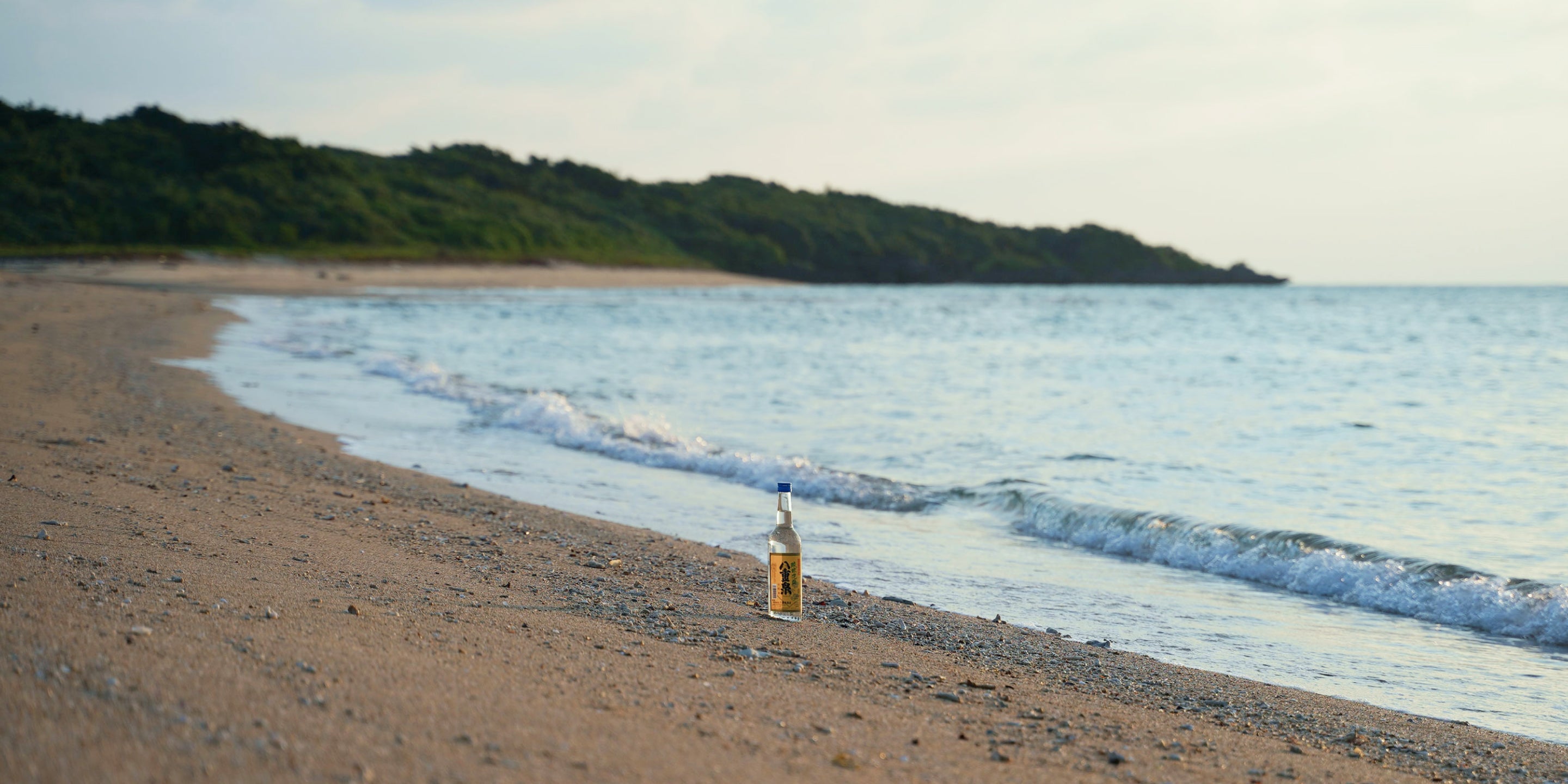 八重泉酒造70周年記念